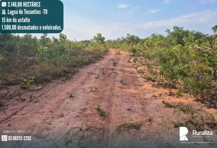 Fazenda em Lagoa do Tocantins - TO