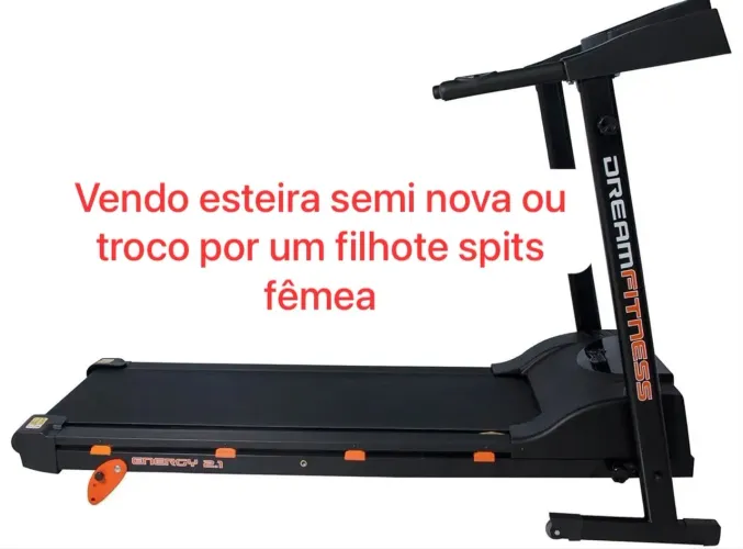 Vendo ou Troco esteira semi nova por fêmea spits te 7 meses