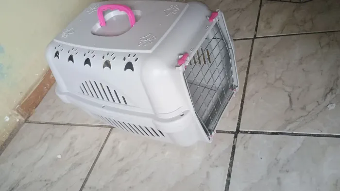 CAIXA DE TRANSPORTE PET