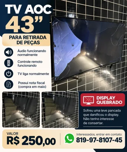 Televisão