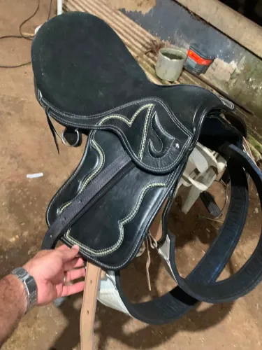 Cela de cavalo