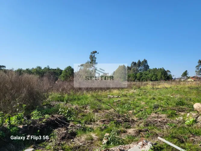 Terrenos / Lotes / Condomínio em Campo Largo da Roseira - São José dos Pinhais