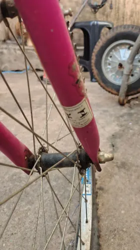 Bicicleta