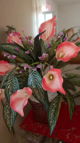 Vendo arranjos florais para todas as ocasiões