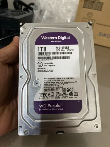 HD 1tb West Digital Purple 24/7