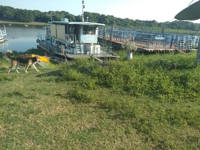 barco para pescaria e lazer