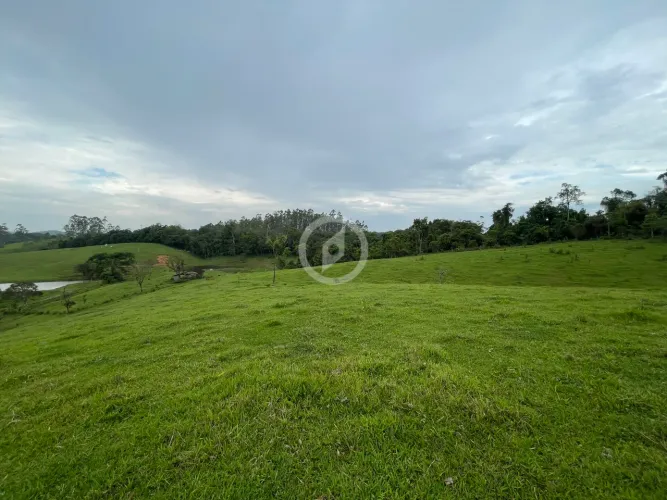 Terreno com pastagem de ampla metragem