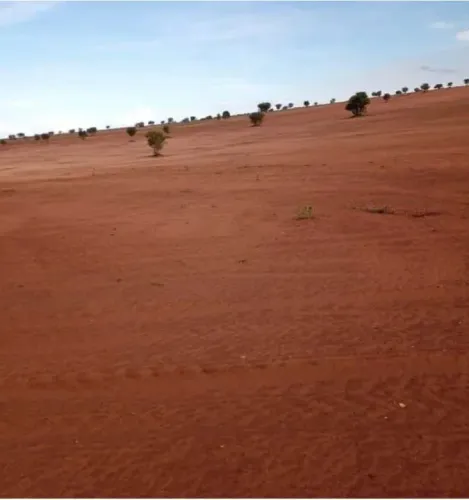 Fazenda Tocantins pega imóvel