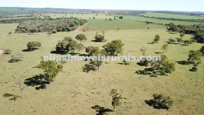 Sítio 16,12 hectares - Monte Alegre
