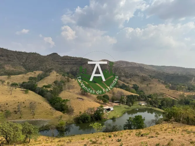 Fazenda de 17 alq em Goias-GO