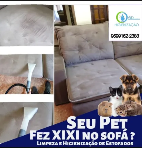Higienização de sofá