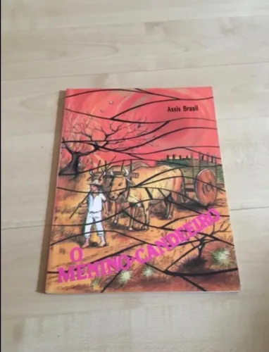 Livro O menino candeeiro-