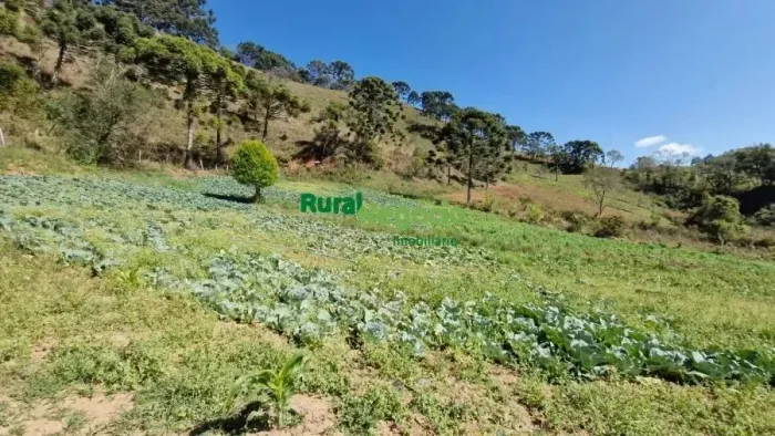 TERRENO BAIXO PARA PLANTIO  EM DELFIM MOREIRA-MG
