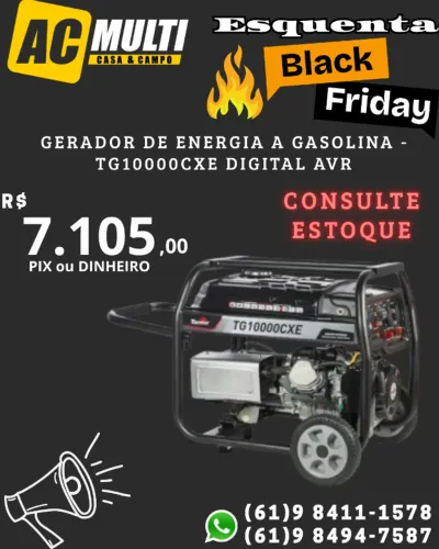 Gerador de Energia a Gasolina - TG10000CXE Digital AVR