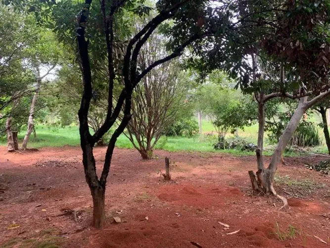 Chácara de 1.000m² plantada de arvores frutíferas, em frente a uma reserva ecológica.