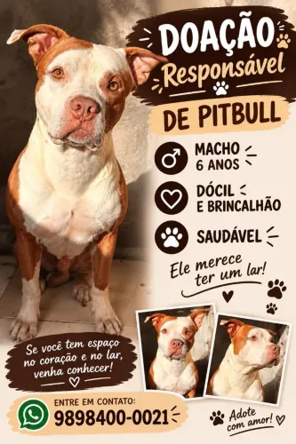 Doação