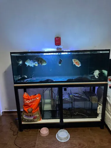 Vende-se aquario