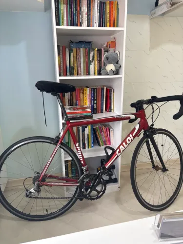 Bicicleta Caloi Sprint 10