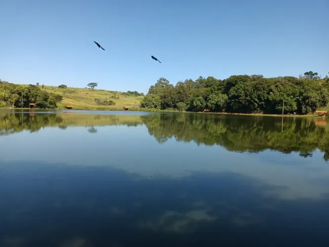 Lote/Terreno para venda tem 300000 metros quadrados em Parque Jaraguá - Bauru - São Paulo