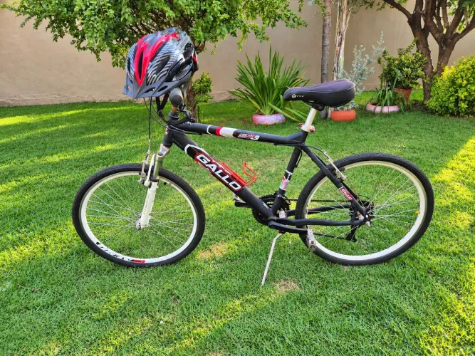 Bicicleta adulto