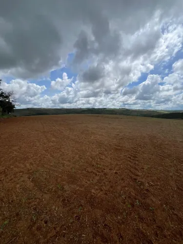 Fazendinha altitude pra café patrocínio Minas Gerais 