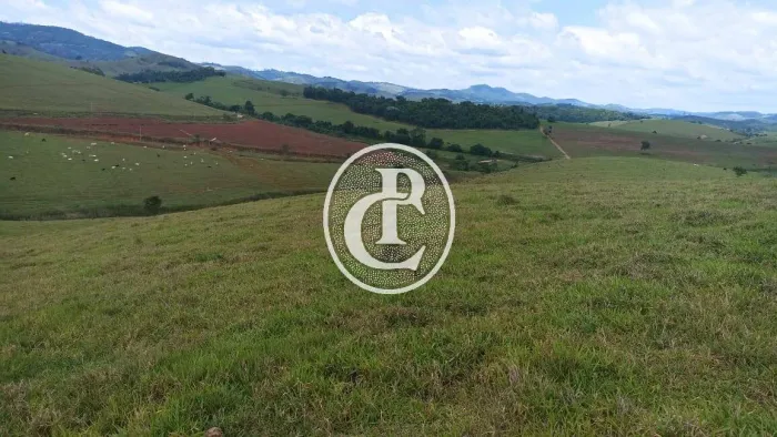 Fazenda 30 Alqueires topografia média quase 100% tratorável Paraibuna/SP