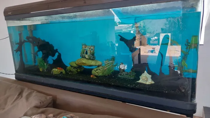 Vendo aquário completo