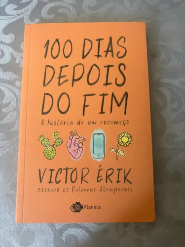 Livro - 100 Dias Depois do Fim