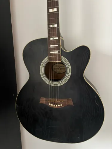 Violão Waldman 