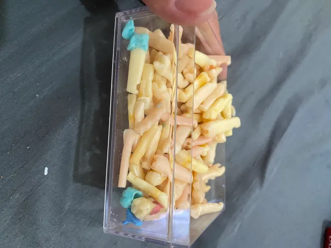 Vendo dentes pronew de estoque Dentistica 