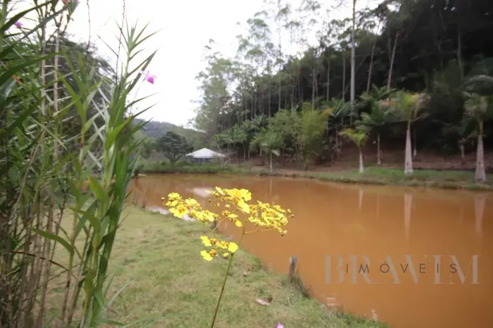 Sítio em Vitor Hugo com 62.500 m², com casa com 3 quartos em Vitor Hugo, Marechal Floriano