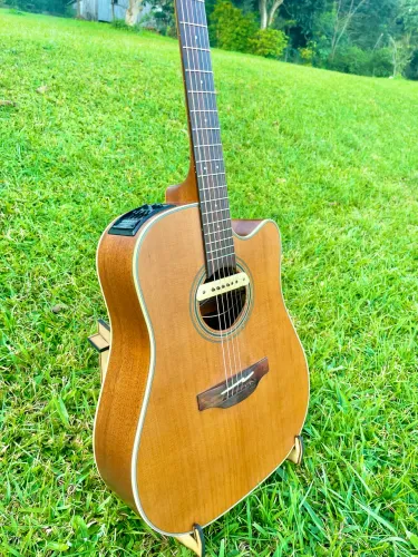 Takamine gd20ce ns