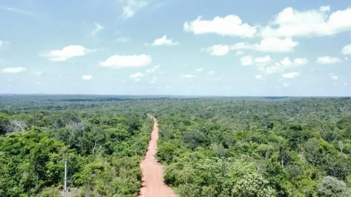 Terra bruta em Caxias - Caxias - Ma, 1459 hectares de dupla aptidão