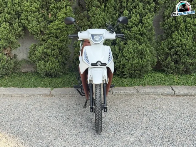 Shineray 50-q ray 2025