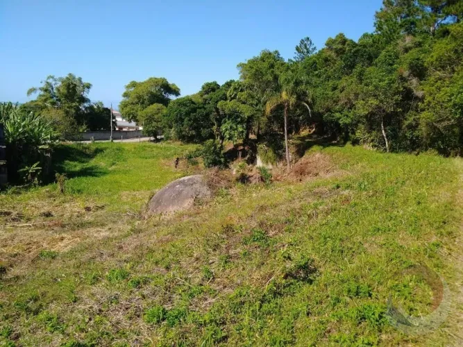 Terreno de 43875m² no bairro Armação da Piedade