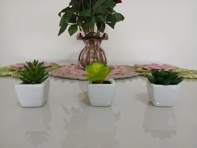 Plantas de enfeite