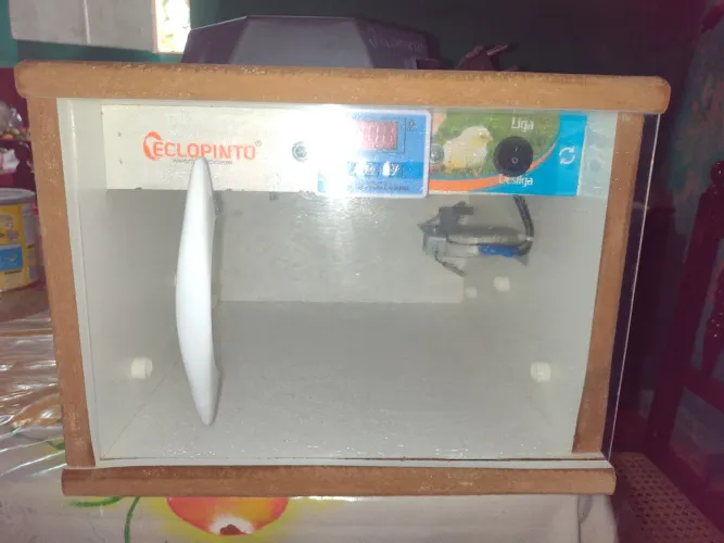 Chocadeira para vender