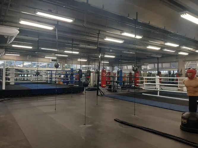 Ringue de Boxe Profissional de Alto Padrão.