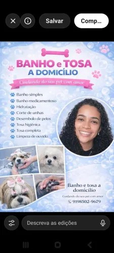 Banho e tosa a domicílio 