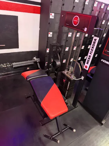 Mesa Flexora Pro Physical