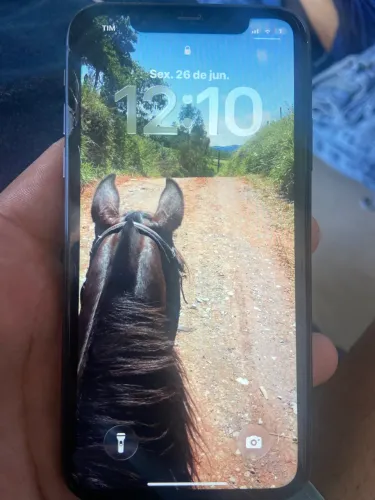 iPhone 11 264 gb 