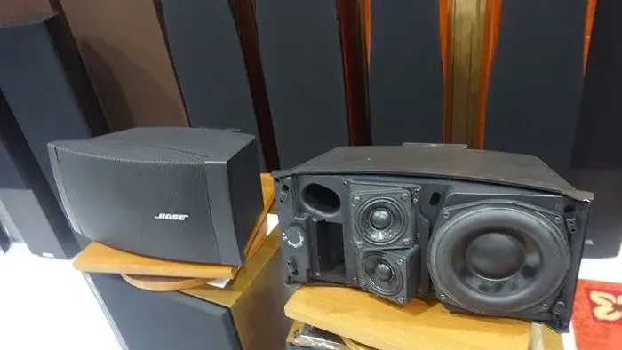 Bose ds100se (valor do par)