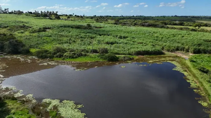 fazenda com 85 hectares sendo 40 hectares ja plantada de cana-de-açúcar