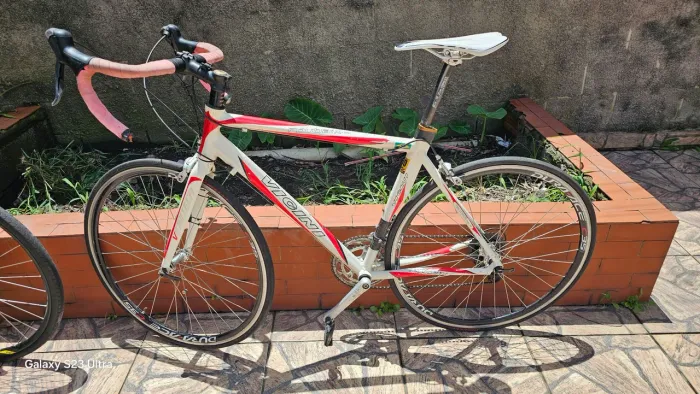 Speed Vicini Roubaix 56