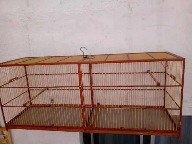 Voador de passarinho