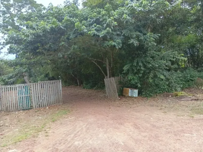 Terreno com igarape em Santa - Santo Antônio do Tauá - PA