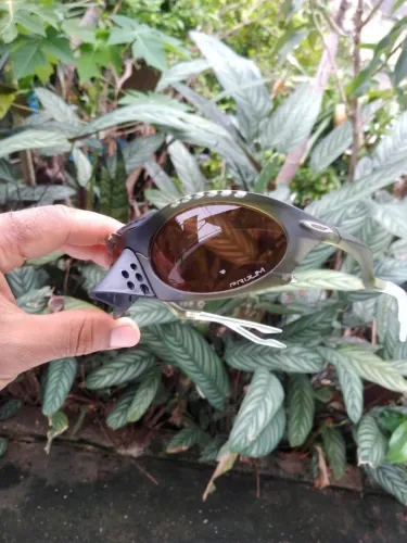 Óculos de Sol Plantaris + Kit customizado