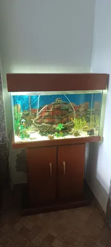 Aquario completo e decorado com bomba