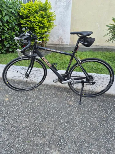 Speed caloi 10