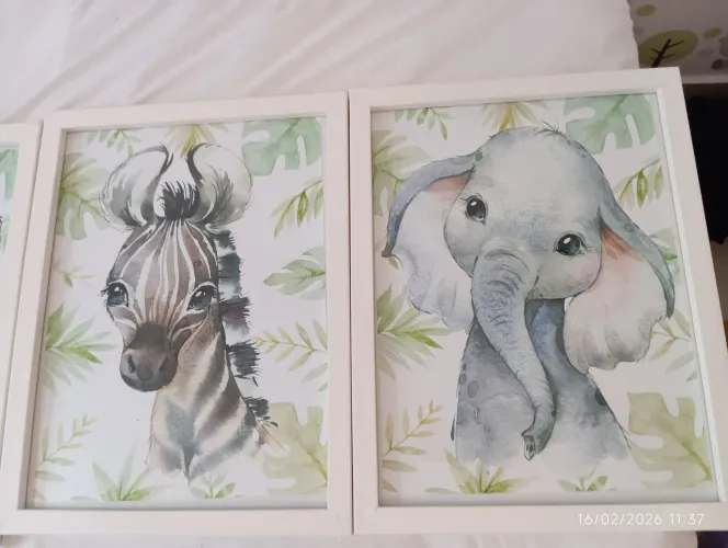 Quadros Savana Baby